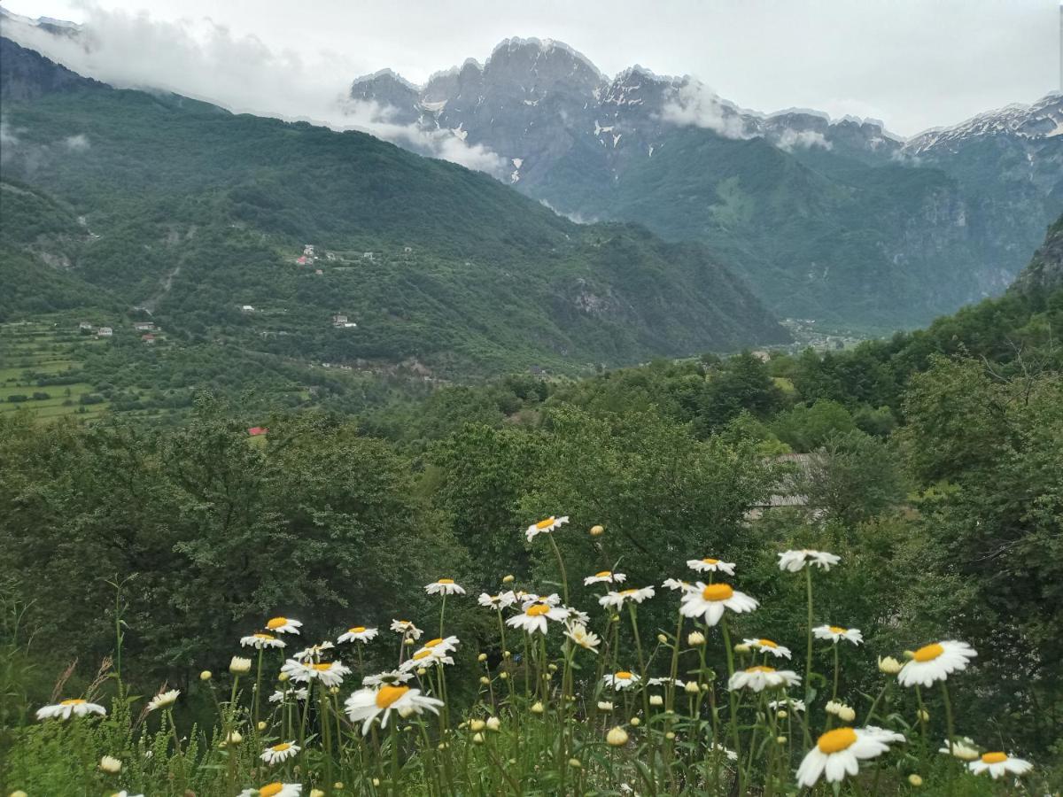 Guesthouse Kroni I Micanit Theth Exteriér fotografie